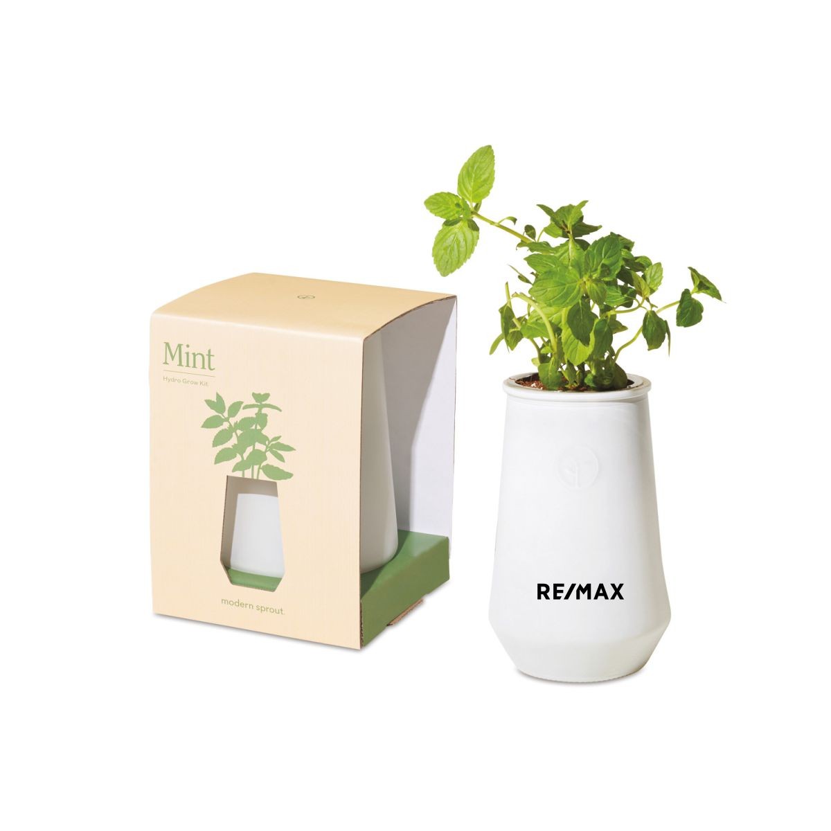 Modern Sprout Tapered Tumbler Grow Kit (Mint)